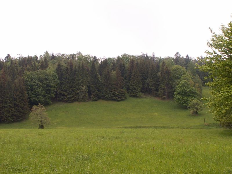 pict0038