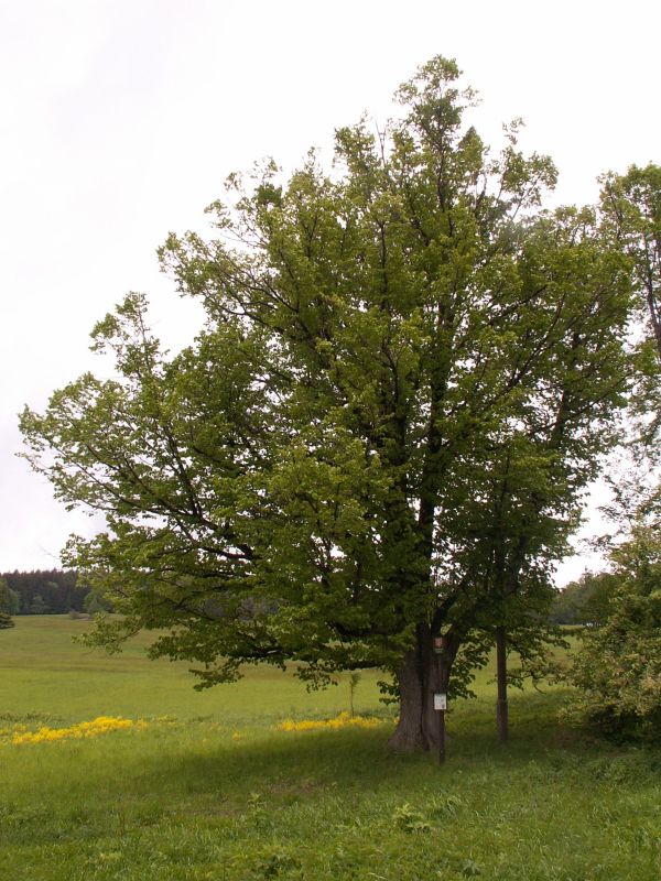 pict0053