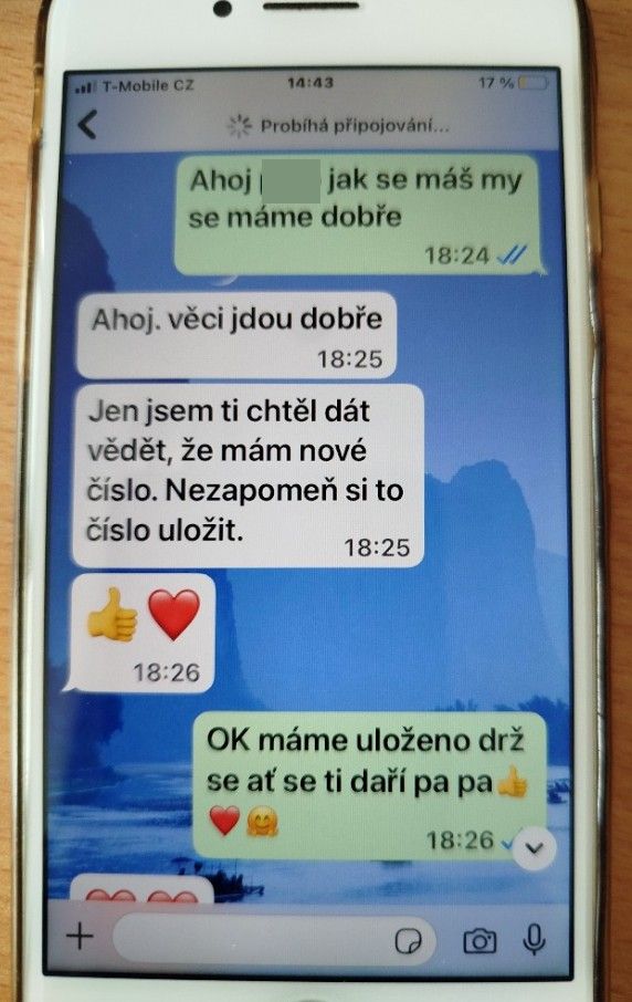 falešný syn 1
