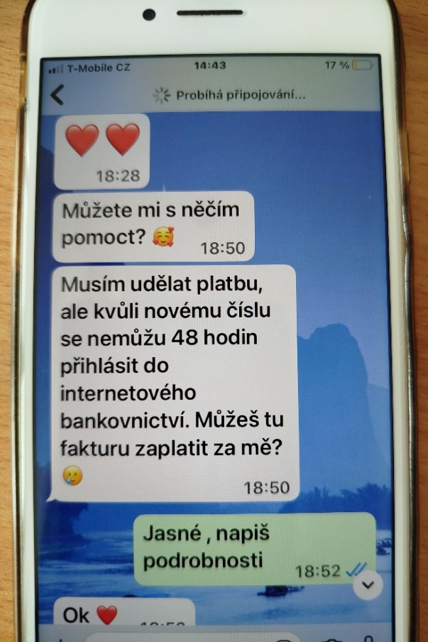 falešný syn 2