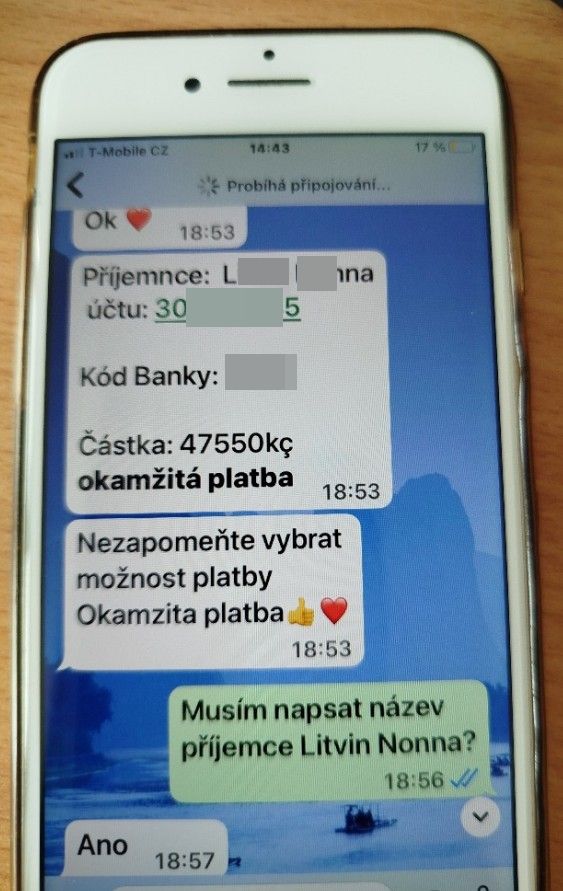 falešný syn 6
